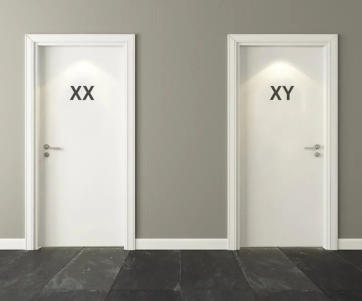 Creative vector illustration of toilet door, male and female genders, wc, . Thoughts Integral